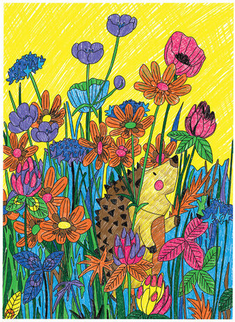 Раскраска по номерам А4, ЮНЛАНДИЯ "ЕЖИК", С ЦВЕТНЫМИ КАРАНДАШАМИ, на картоне, 661608