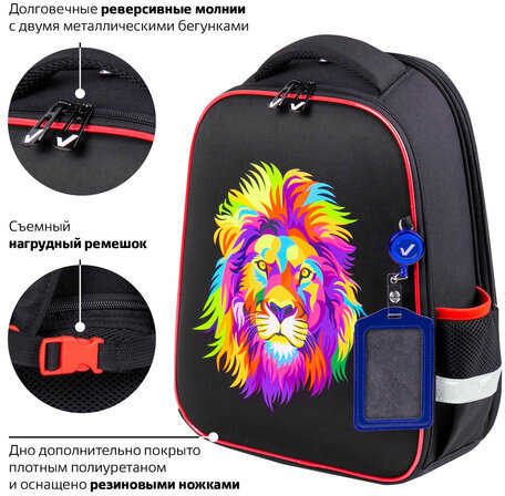 Ранец BRAUBERG FIT, 2 отделения, "Colorful lion", 38х27х14 см, 270618