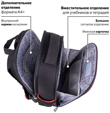 Ранец BRAUBERG FIT, 2 отделения, "Colorful lion", 38х27х14 см, 270618