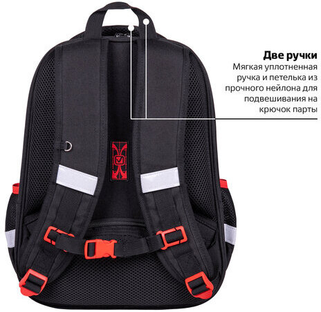 Ранец BRAUBERG FIT, 2 отделения, "Colorful lion", 38х27х14 см, 270618