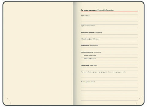 Ежедневник датированный 2025, А5, 138x213 мм, BRAUBERG "Stylish", под кожу гибкий, серо-голубой, 115829