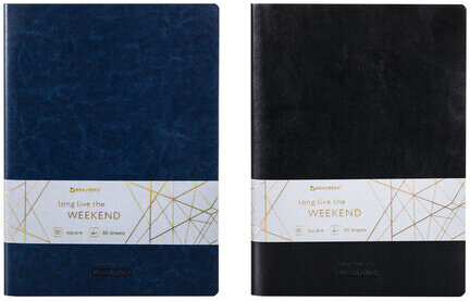 Тетради 60 л. в клетку обложка гладкий кожзам, НАБОР 2 шт., сшивка, B5 (179х250 мм), BRAUBERG VIVA, 403900