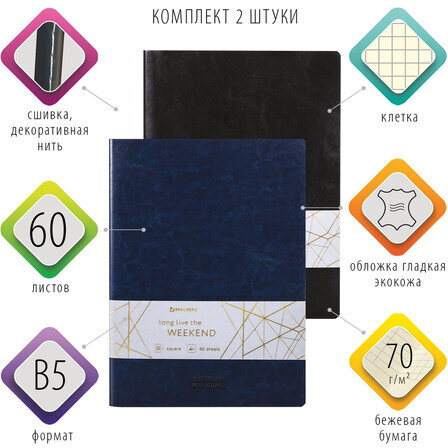 Тетради 60 л. в клетку обложка гладкий кожзам, НАБОР 2 шт., сшивка, B5 (179х250 мм), BRAUBERG VIVA, 403900