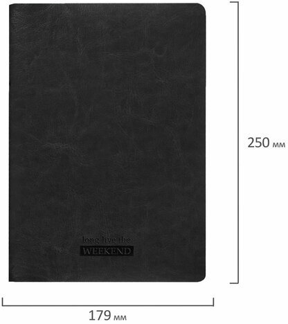 Тетради 60 л. в клетку обложка гладкий кожзам, НАБОР 2 шт., сшивка, B5 (179х250 мм), BRAUBERG VIVA, 403900