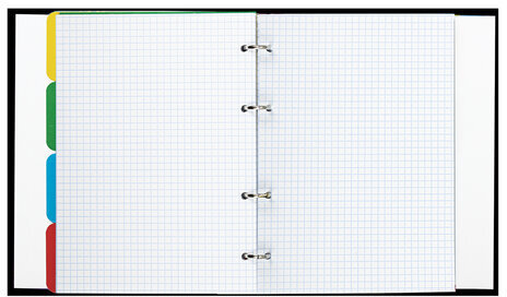 Тетрадь на кольцах А5 175х215 мм, 120 л., твердый картон, с разделителями, BRAUBERG, "Credo", 404088
