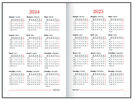 Ежедневник датированный 2024 А5 138x213 мм BRAUBERG "Senator", под кожу, зеленый, 114885