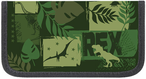 Пенал ПИФАГОР, 2 отделения, ламинированный картон, 19х11 см, "Dinoland", 271535