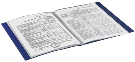 Папка 30 вкладышей BRAUBERG стандарт, синяя, 0,6 мм, 221599