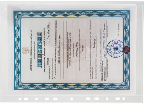 Папка-конверт с перфорацией BRAUBERG, А4, КОМПЛЕКТ 10 шт., до 50 листов, прозрачная, 0,15 мм, 227312