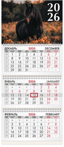 Календарь квартальный на 2026 г., 3 блока, 3 гребня, бегунок, офсет, BRAUBERG, "Символ года 3", 116760
