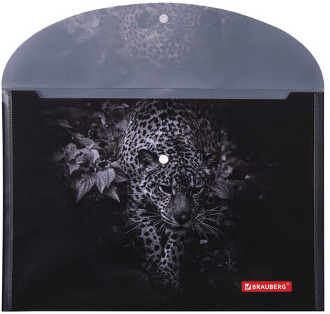 Папка-конверт с кнопкой BRAUBERG "LEOPARD", А4, 160 мкм, до 100 листов, цветная печать, 228039
