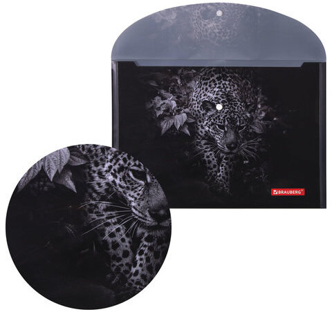 Папка-конверт с кнопкой BRAUBERG "LEOPARD", А4, 160 мкм, до 100 листов, цветная печать, 228039
