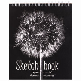 Скетчбук, серая бумага 120 г/м2, 170х195 мм, 30 л., гребень, подложка, цветная фольга, &quot;Одуванчик&quot;, 98672
