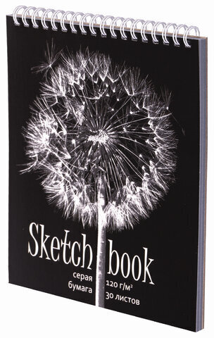 Скетчбук, серая бумага 120 г/м2, 170х195 мм, 30 л., гребень, подложка, цветная фольга, "Одуванчик", 98672