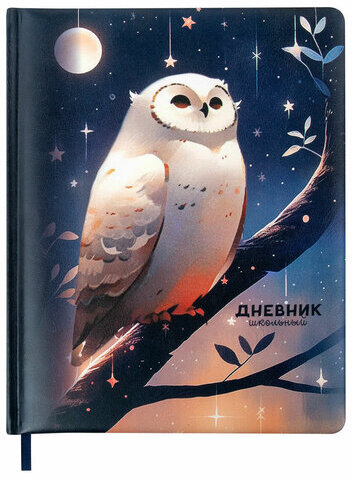 Дневник 1-11 класс 48 л., кожзам (твердая с поролоном), печать, наклейки, BRAUBERG, "Сова", 106947