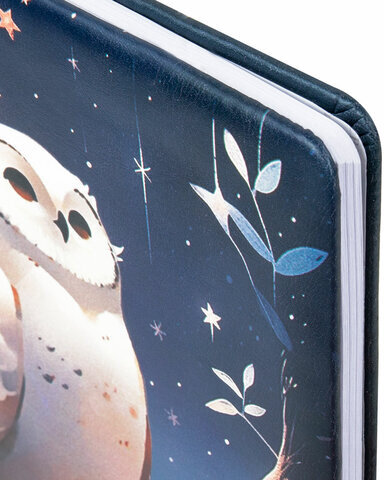 Дневник 1-11 класс 48 л., кожзам (твердая с поролоном), печать, наклейки, BRAUBERG, "Сова", 106947