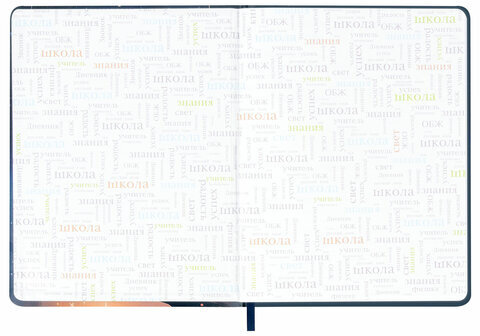 Дневник 1-11 класс 48 л., кожзам (твердая с поролоном), печать, наклейки, BRAUBERG, "Сова", 106947
