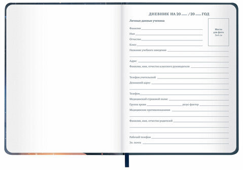 Дневник 1-11 класс 48 л., кожзам (твердая с поролоном), печать, наклейки, BRAUBERG, "Сова", 106947