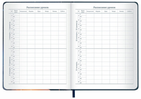 Дневник 1-11 класс 48 л., кожзам (твердая с поролоном), печать, наклейки, BRAUBERG, "Сова", 106947