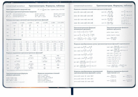 Дневник 1-11 класс 48 л., кожзам (твердая с поролоном), печать, наклейки, BRAUBERG, "Сова", 106947