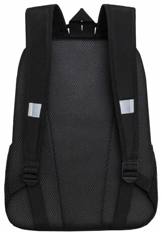 Рюкзак GRIZZLY школьный, жесткая спинка, 2 отделения, для мальчиков, SKATE OR DIE, 38х29х16 см, RB-451-6/1