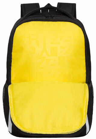 Рюкзак GRIZZLY школьный, жесткая спинка, 2 отделения, для мальчиков, SKATE OR DIE, 38х29х16 см, RB-451-6/1