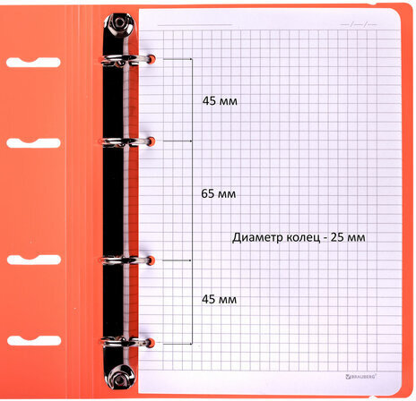 Тетрадь на кольцах А5 175х220 мм, 120 л., пластик, с резинкой, BRAUBERG, Коралловый, 404621