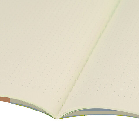 Тетрадь 40 л. в точку обложка SoftTouch, бежевая бумага 70 г/м2, сшивка, А5 (147х210 мм), БЛАЖЕНСТВО, BRAUBERG, 403800