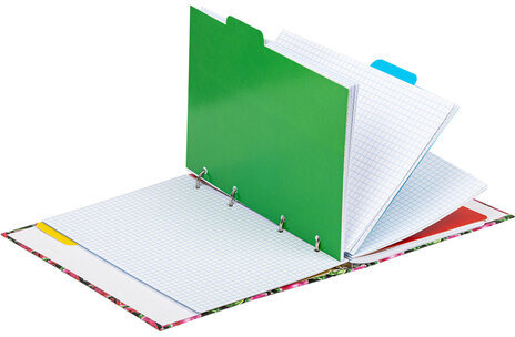 Тетрадь на кольцах А5 175х215 мм, 120 л., твердый картон, с разделителями, BRAUBERG, "Juicy", 404089