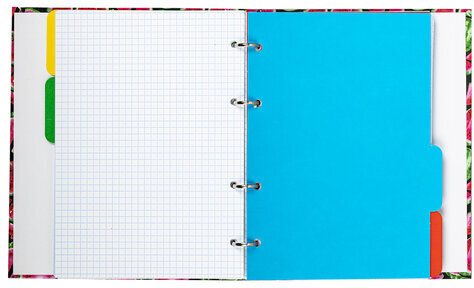 Тетрадь на кольцах А5 175х215 мм, 120 л., твердый картон, с разделителями, BRAUBERG, "Juicy", 404089