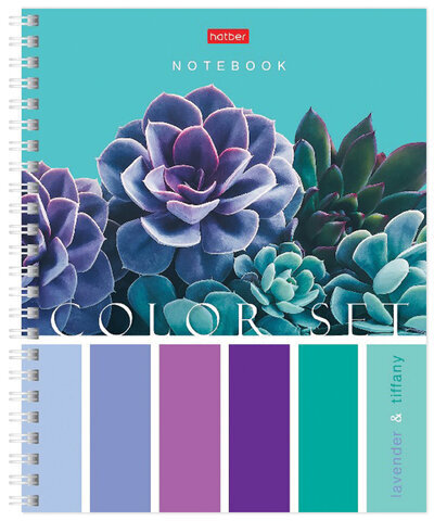 Тетрадь А5, 80 л., HATBER гребень, клетка, обложка картон, "Color Set" (4 вида в спайке), 80Т5В1гр