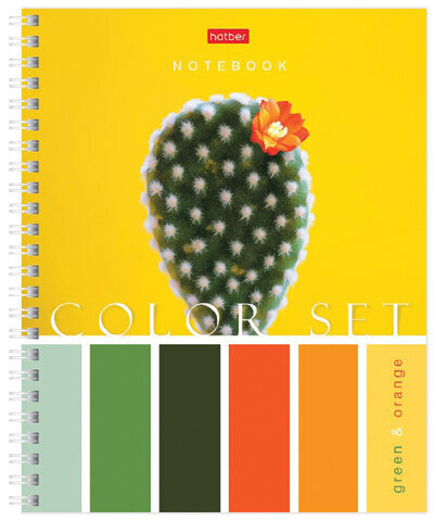 Тетрадь А5, 80 л., HATBER гребень, клетка, обложка картон, "Color Set" (4 вида в спайке), 80Т5В1гр