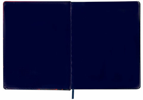 Дневник 1-11 класс 48 л., кожзам (твердая с поролоном), печать, резинка, конверт, BRAUBERG, "The Hunter", 106948