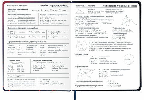 Дневник 1-11 класс 48 л., кожзам (твердая с поролоном), печать, резинка, конверт, BRAUBERG, "The Hunter", 106948
