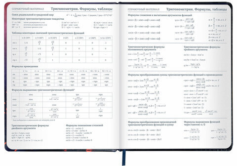 Дневник 1-11 класс 48 л., кожзам (твердая с поролоном), печать, резинка, конверт, BRAUBERG, "The Hunter", 106948