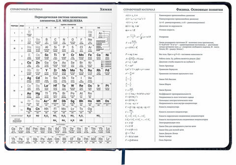 Дневник 1-11 класс 48 л., кожзам (твердая с поролоном), печать, резинка, конверт, BRAUBERG, "The Hunter", 106948