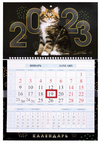 Календарь квартальный с бегунком 2023 г., 1 блок, 1 гребень, Соло-Люкс, "Кот круглый год", HATBER, 1Кв1гр4ц_27143