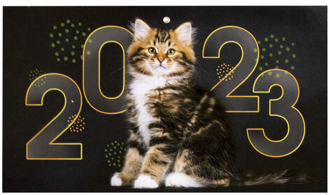 Календарь квартальный с бегунком 2023 г., 1 блок, 1 гребень, Соло-Люкс, "Кот круглый год", HATBER, 1Кв1гр4ц_27143