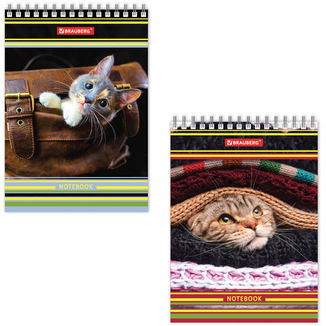 Блокнот МАЛЫЙ ФОРМАТ (105х150 мм) А6, 80 л., гребень, твердый картон, клетка, BRAUBERG, "Котята", 129839