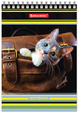 Блокнот МАЛЫЙ ФОРМАТ (105х150 мм) А6, 80 л., гребень, твердый картон, клетка, BRAUBERG, "Котята", 129839