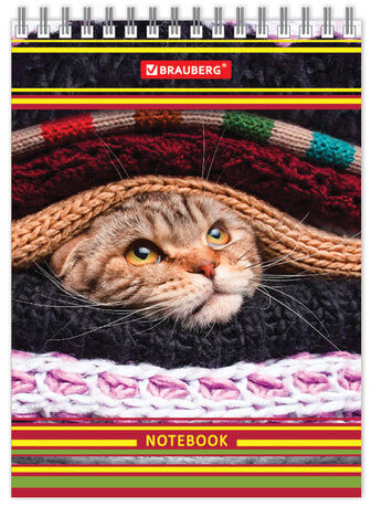 Блокнот МАЛЫЙ ФОРМАТ (105х150 мм) А6, 80 л., гребень, твердый картон, клетка, BRAUBERG, "Котята", 129839