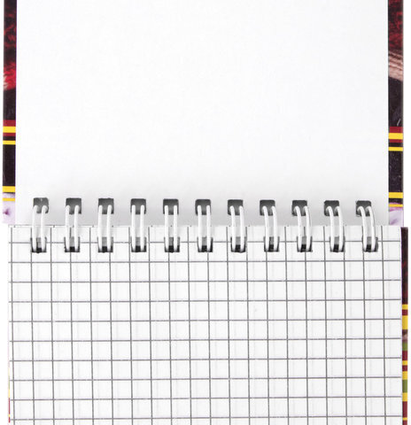 Блокнот МАЛЫЙ ФОРМАТ (105х150 мм) А6, 80 л., гребень, твердый картон, клетка, BRAUBERG, "Котята", 129839