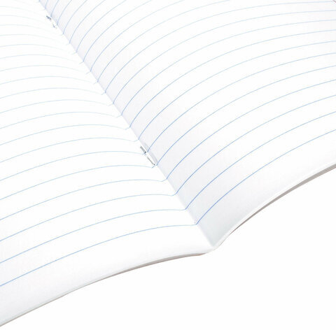 Тетрадь предметная "КЛАССИКА SCIENCE" 48 л., обложка картон, РУССКИЙ ЯЗЫК, линия, подсказ, BRAUBERG, 404815