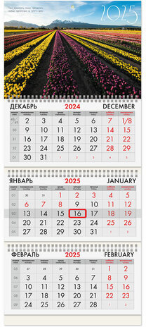 Календарь квартальный на 2025 г., 3 блока, 3 гребня, с бегунком, офсет, BRAUBERG, "Долина цветов", 116098