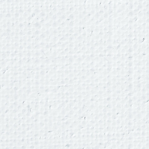 Холст на подрамнике BRAUBERG ART PREMIERE, 60х80см, грунтованный, 100% лен, среднее зерно, 190642