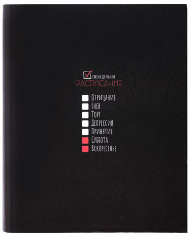 Тетрадь на кольцах А5 175х215 мм, 120 листов, твердый картон, клетка, BRAUBERG, "Стадии недели", 404717