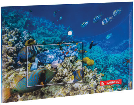 Папка-конверт с кнопкой BRAUBERG "SEA WORLD", А4, 160 мкм, до 100 листов, цветная печать, 228041
