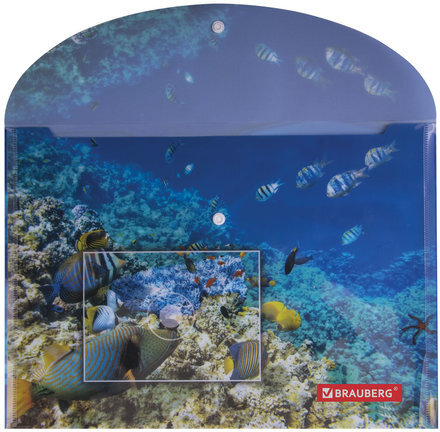 Папка-конверт с кнопкой BRAUBERG "SEA WORLD", А4, 160 мкм, до 100 листов, цветная печать, 228041