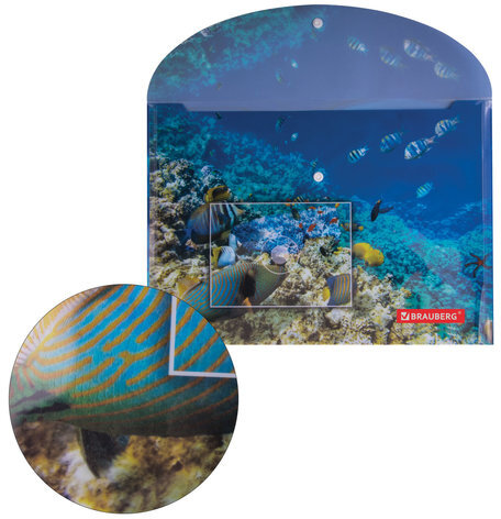 Папка-конверт с кнопкой BRAUBERG "SEA WORLD", А4, 160 мкм, до 100 листов, цветная печать, 228041