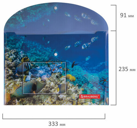 Папка-конверт с кнопкой BRAUBERG "SEA WORLD", А4, 160 мкм, до 100 листов, цветная печать, 228041